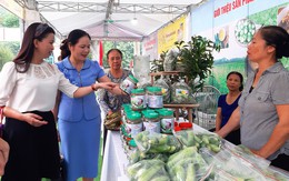 Nâng giá trị cho sản phẩm OCOP